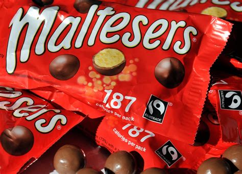 american maltesers.